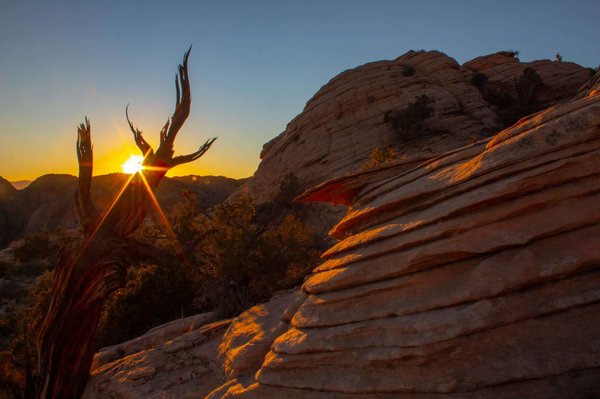 Quelles sont les activités à faire dans le désert ?